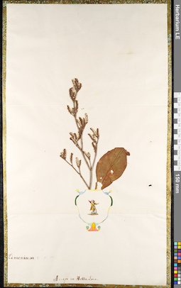 LE 01092449