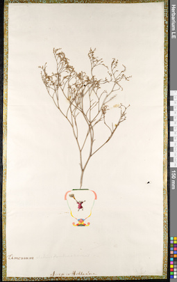 LE 01092450