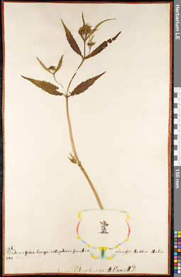 LE 01092472