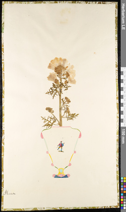 LE 01092482