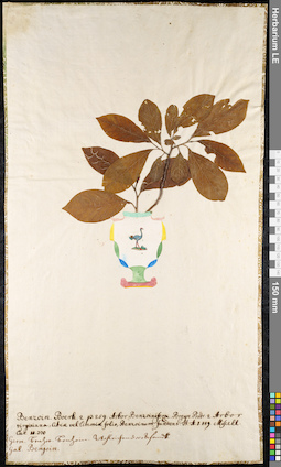 LE 01092491