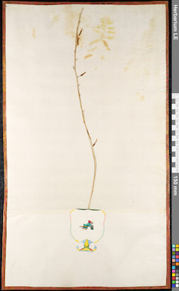 LE 01092502
