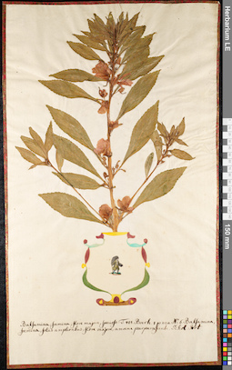 LE 01092507