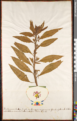 LE 01092508