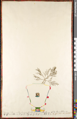 LE 01092516