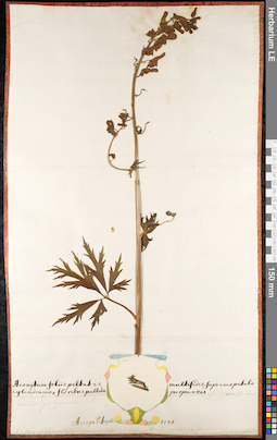 LE 01092532
