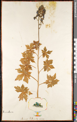 LE 01092533