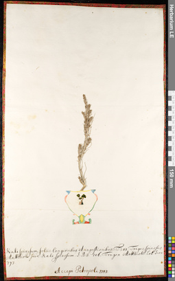 LE 01092539