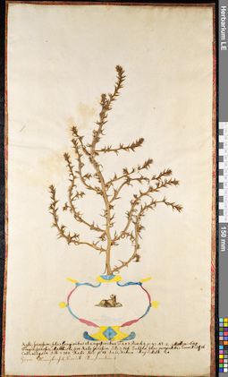 LE 01092541