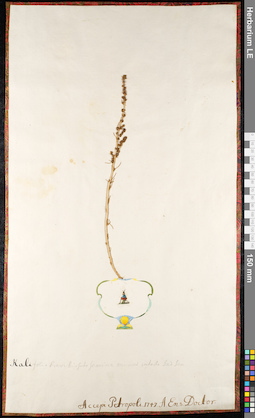 LE 01092543