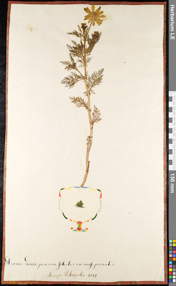 LE 01092545