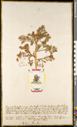 LE 01092546
