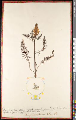 LE 01092550
