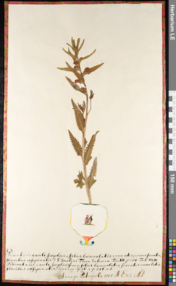 LE 01092552