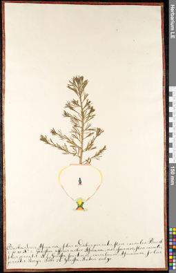 LE 01091104