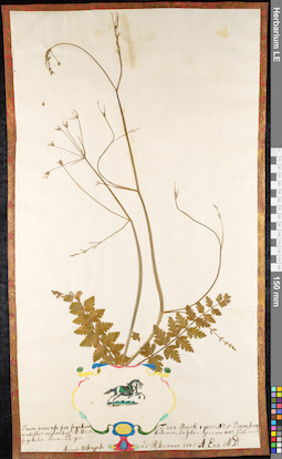 LE 01091112