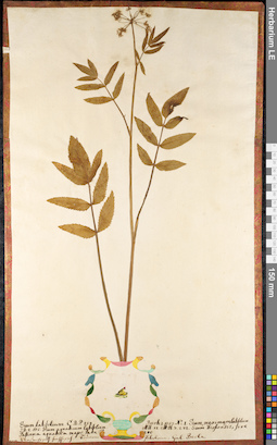 LE 01091113