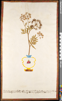 LE 01091115