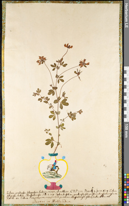 LE 01091127