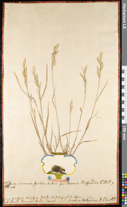 LE 01091129