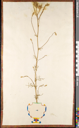 LE 01091141