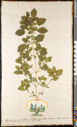 LE 01091149