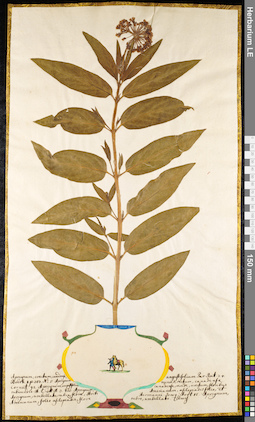 LE 01091169
