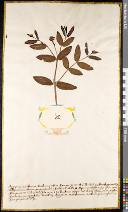 LE 01091170