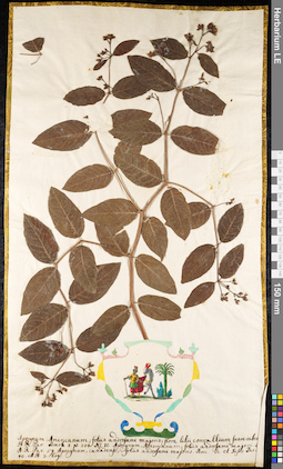 LE 01091171