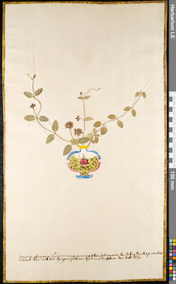 LE 01091175