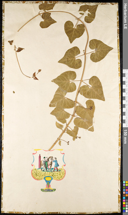 LE 01091179