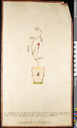 LE 01091191