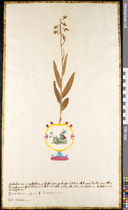 LE 01091193