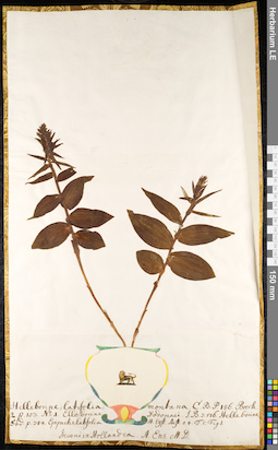 LE 01091194