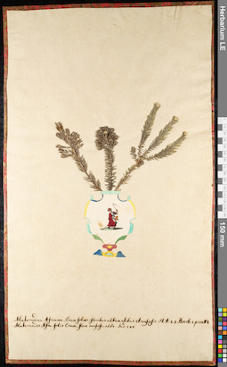 LE 01091205