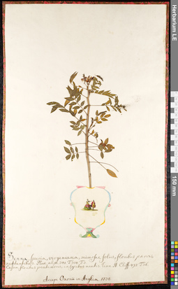 LE 01091210
