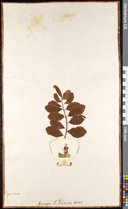 LE 01091214