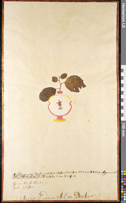 LE 01091217