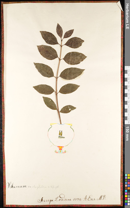 LE 01091224