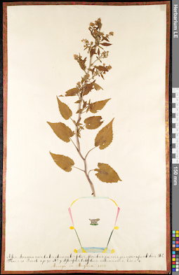 LE 01091227