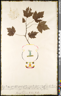 LE 01091230