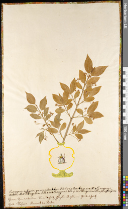 LE 01091402