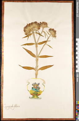 LE 01091433