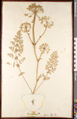 LE 01091448
