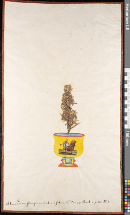 LE 01091473