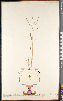 LE 01091506