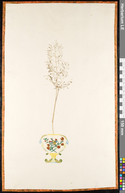 LE 01091510