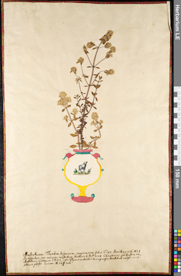 LE 01091516