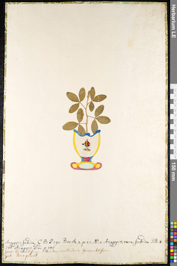 LE 01091528