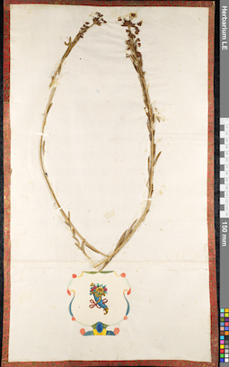 LE 01091563